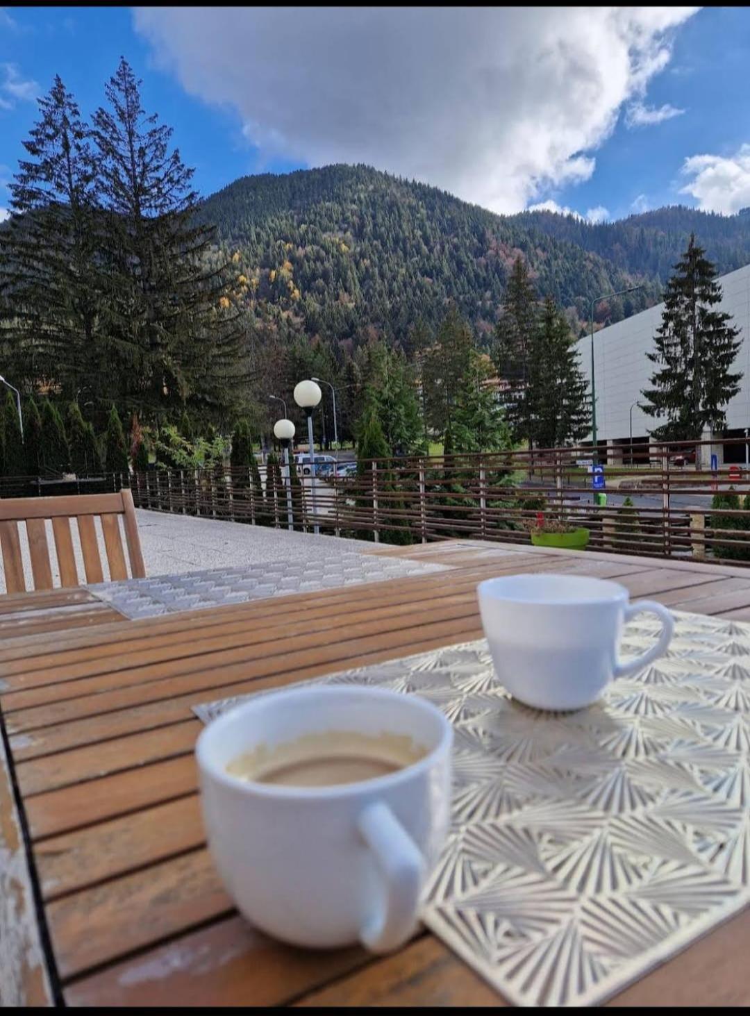 Vila Pinul Si Mesteacanul Poiana Brasov Exterior foto